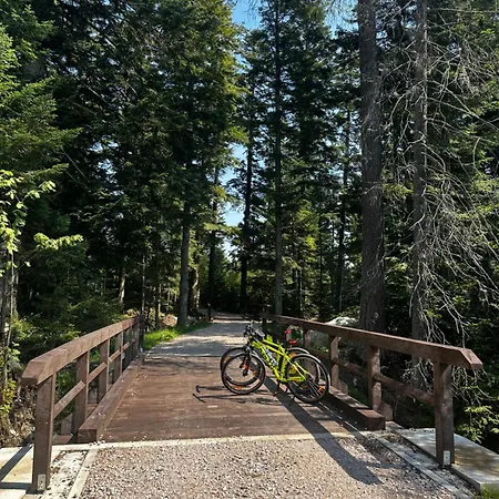 Bikehouse Holiday home Vel'ka Lomnica